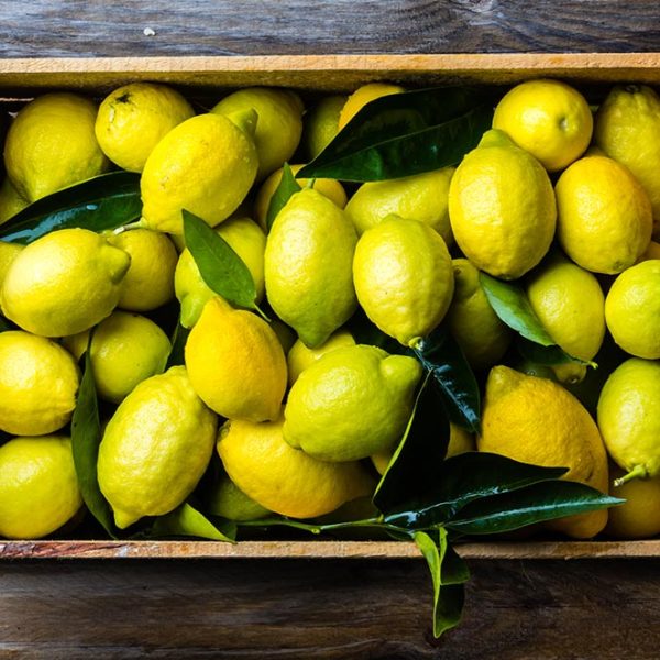 Cassetta di Limoni femminelli primo fiore Biologici